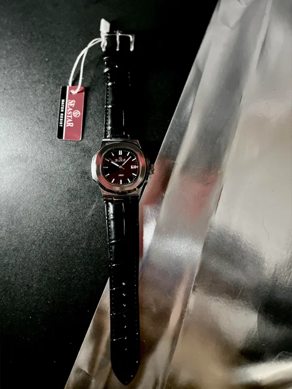 Seastar Silver with Black Dial